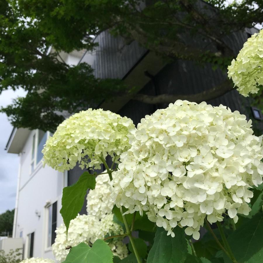 Sweet Villa Takasama 富士吉田市 外观 照片